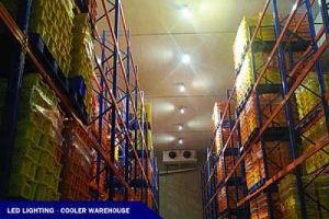 led flood light cooler warehouse